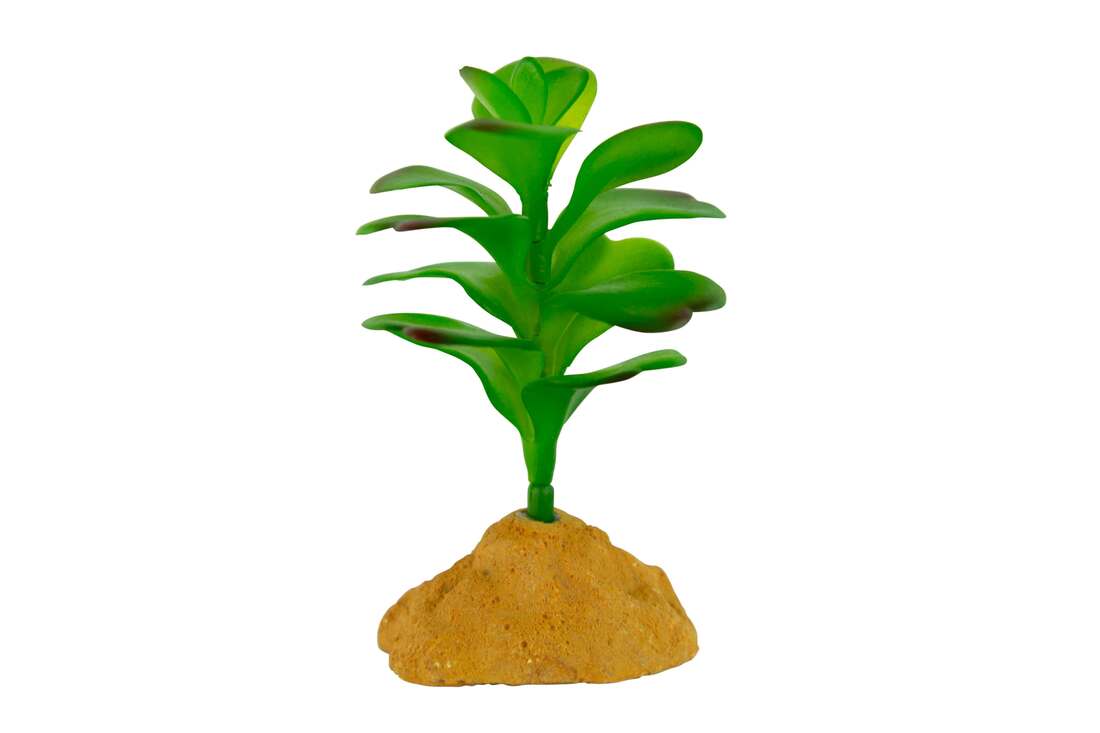 Terrassic Terrarium Décor, Jade Cactus, 5 Inches