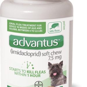 Advantus Soft Chews Flea Treatment, 7.5 Miligrams - Small Dog 7 Count