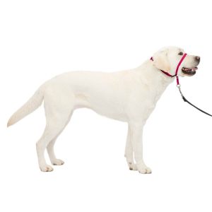 PetSafe® Quick Release