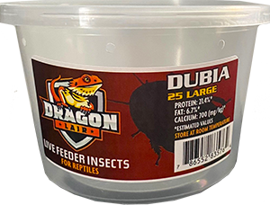 Dragon Lair Dubia Roaches, Large, 25 Count - Not Available For Delivery