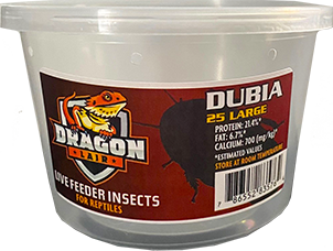 Dragon Lair Dubia Roaches, Large - Not Available For Delivery