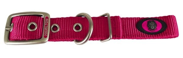 Hamilton Double Thick Nylon Dog Collar - Image 6