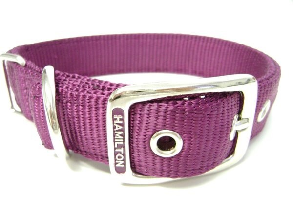 Hamilton Double Thick Nylon Dog Collar - Image 2