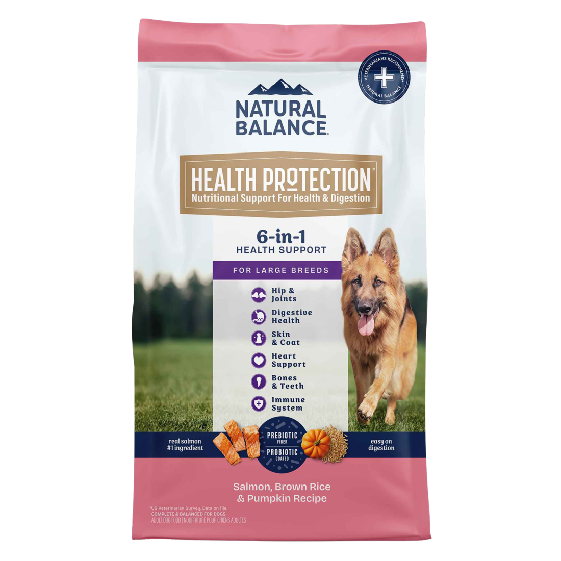 Natural Balance Health Protection Large Breed Dry Dog Food, Salmon & Rice Recipe, 26 Pounds