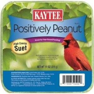 Kaytee Suet/Cake Feeders Wild Bird Food, Postively Peanut, 11 Ounces