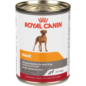 Royal Canin® Canine Health Nutrition™ Adult In Gel Canned Dog Food, 13.5 Ounce