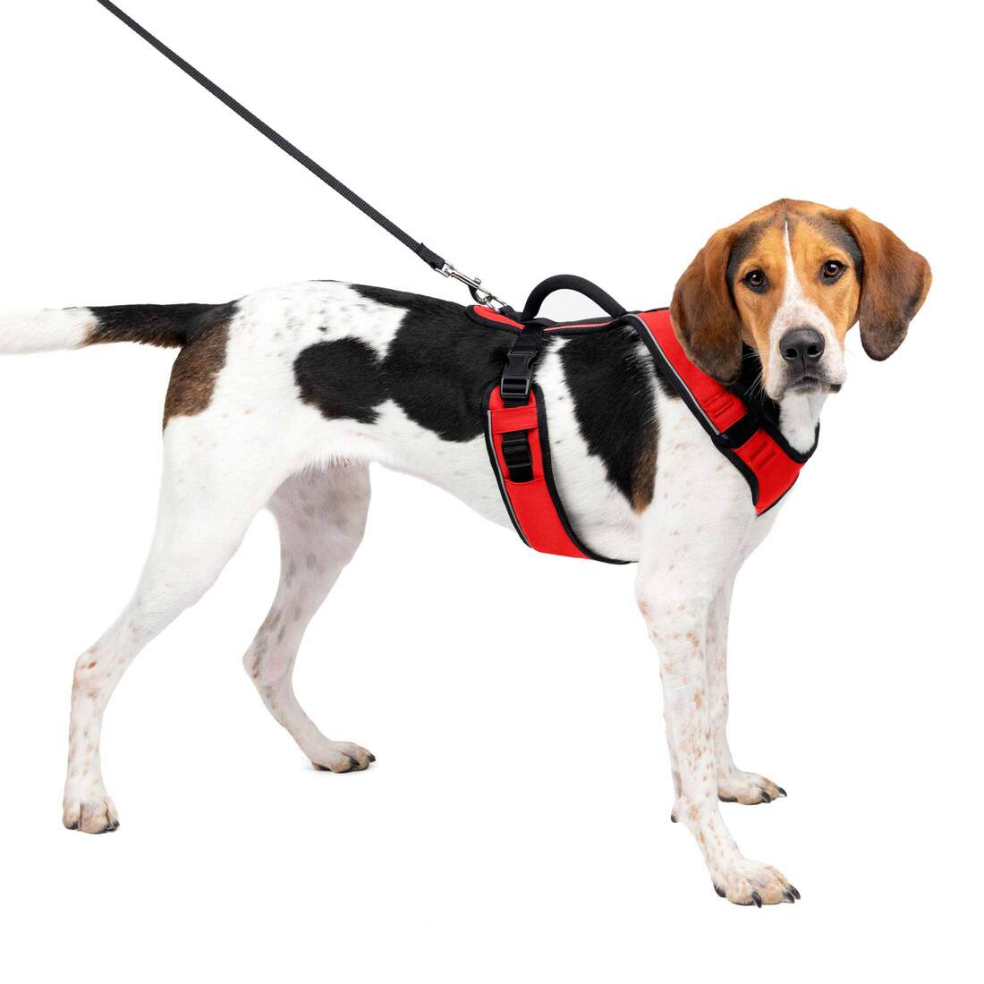 PetSafe® EasySport Harness - Image 3