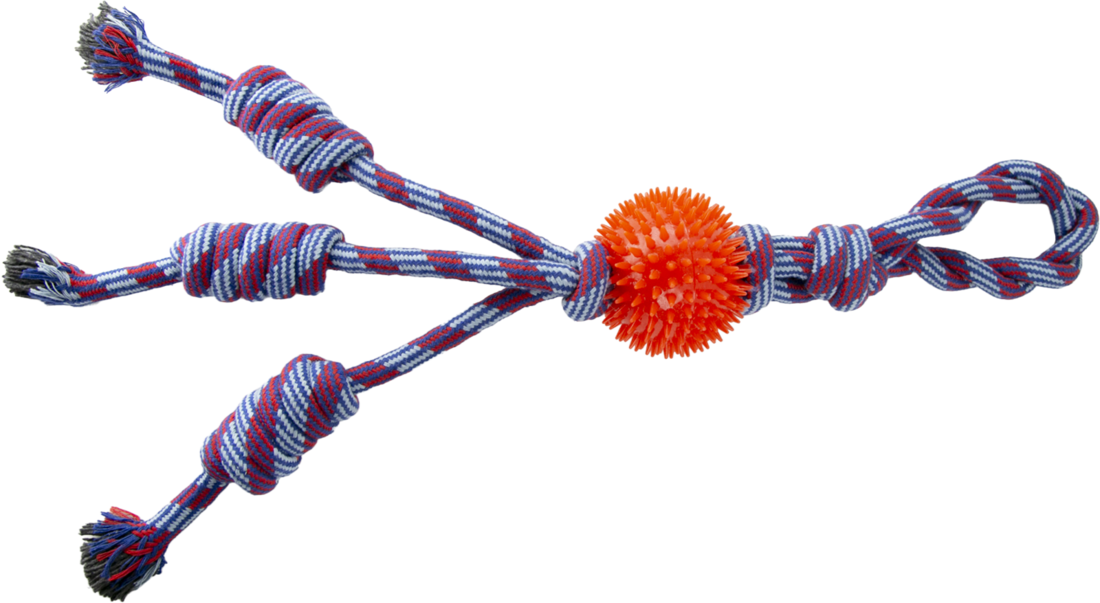Play On Ball and 3 Knot Rope Dog Toy