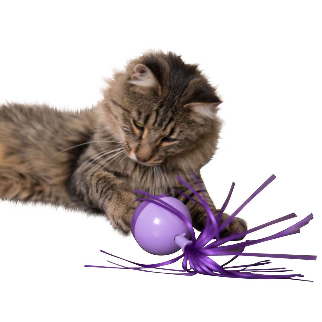 SmartyKat Twirly Top Electronic Motion Spinning Cat Toy with Ribbons, Battery Powered
