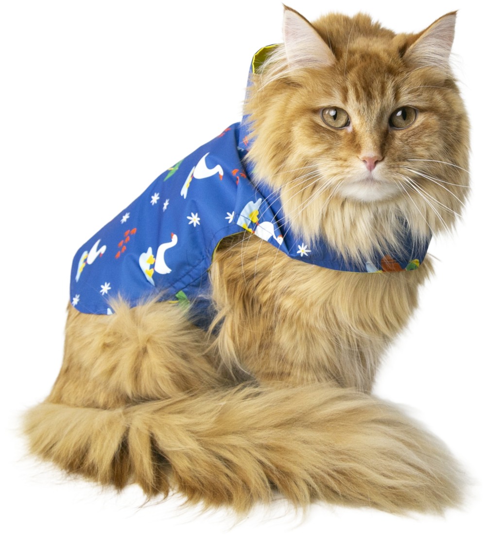 Play On Raincoat, Yellow/Goose Print