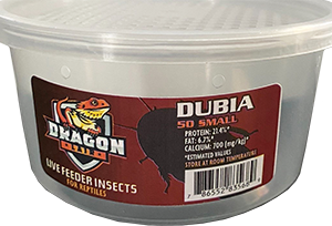 Dragon Lair Dubia Roaches, Small, 50 Count - Not Available For Delivery