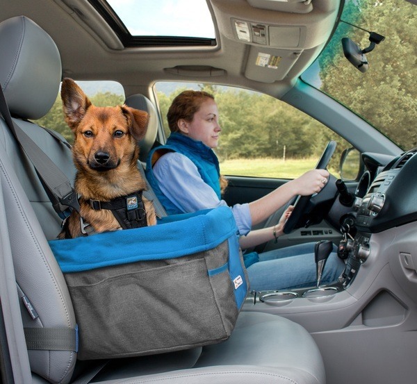 Kurgo Heather Dog Booster Seat with Seat Belt Tether, Charcoal Gray