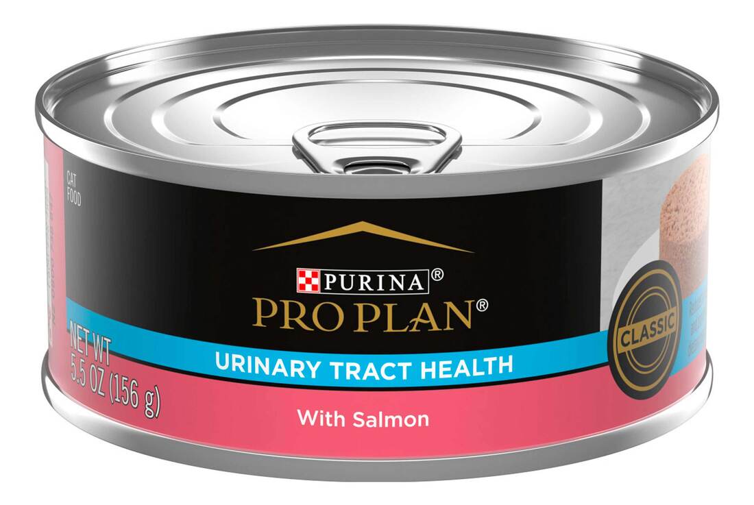 Purina Pro Plan Urinary Tract Health With Salmon Classic Wet Cat Food Pate - 5.5 Ounce Can