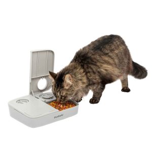 PetSafe Automatic 2 Meal Dog and Cat Feeder