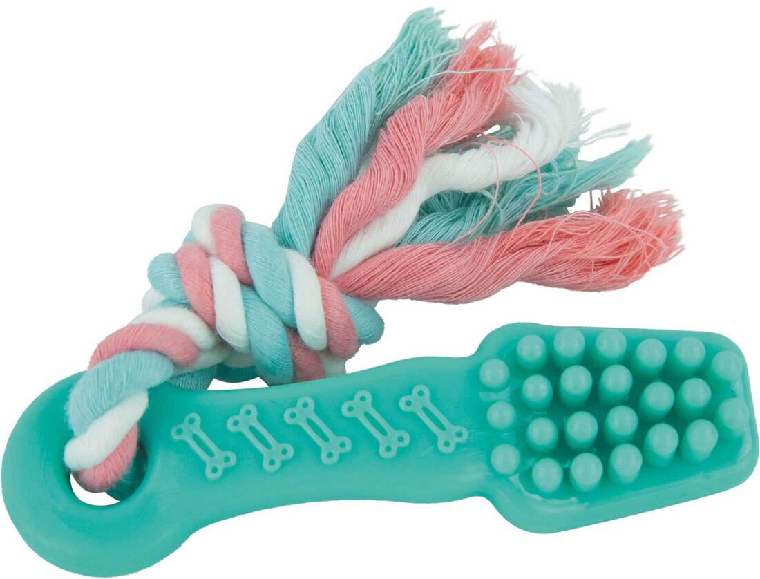 Play On Puppy Toothbrush with Rope