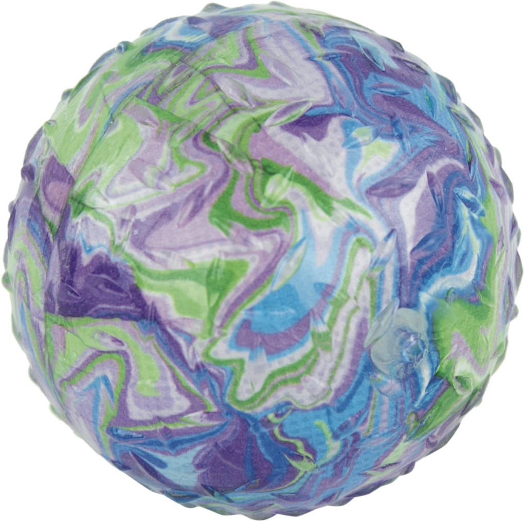 Play On Printed Ball Dog Toy