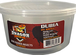 Dragon Lair Dubia Roaches, Small, 25 Count - Not Available For Delivery