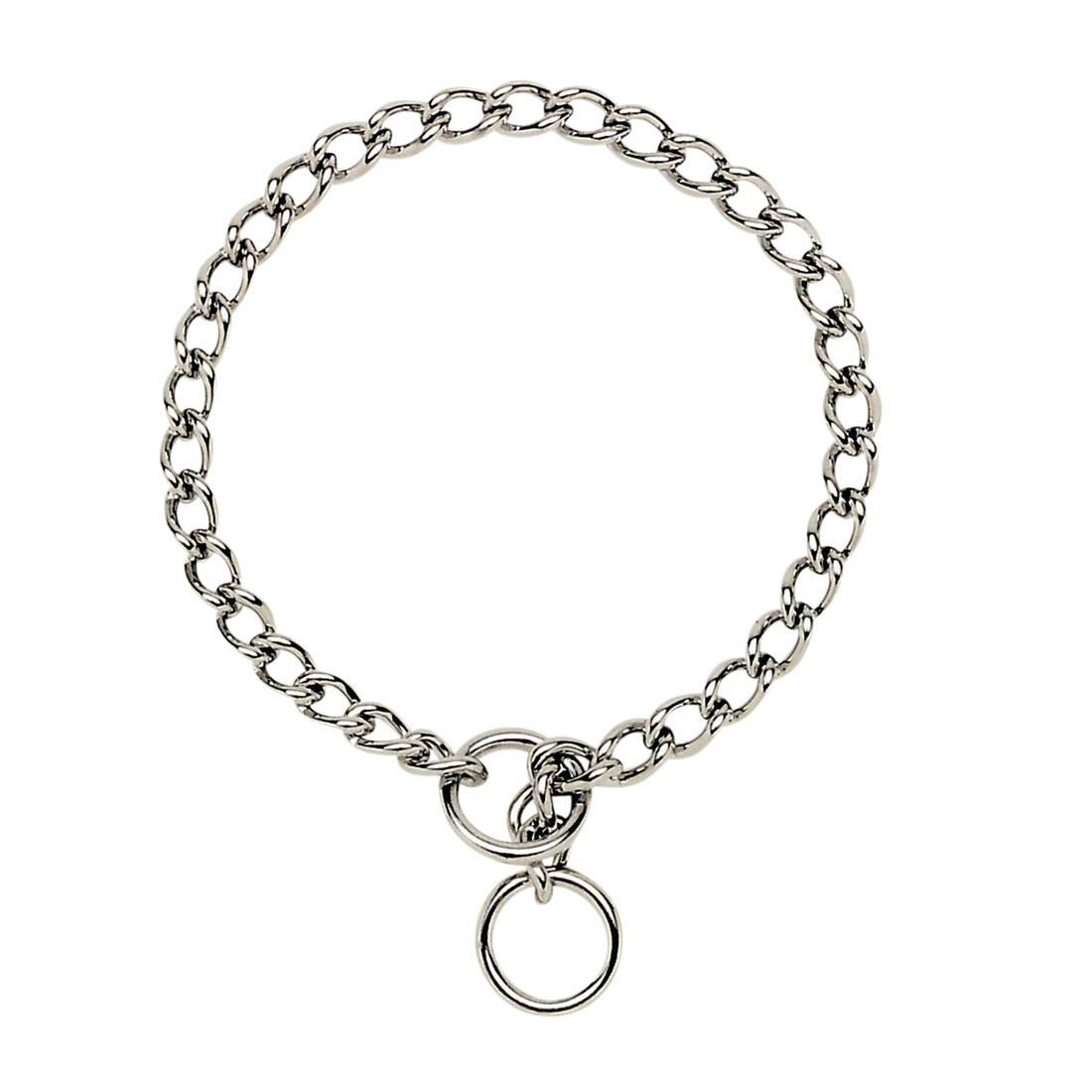 Coastal Titan® Chain Training Dog Collar - Image 6