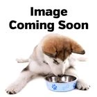 Huxley And Kent Plush Happy Barkday Cake Dog Toy