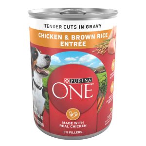 Purina ONE Tender Cuts in Wet Dog Food Gravy Chicken and Brown Rice Entree - 13 Ounce Can