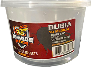 Dragon Lair Dubia Roaches, Medium, 50 Count - Not Available For Delivery