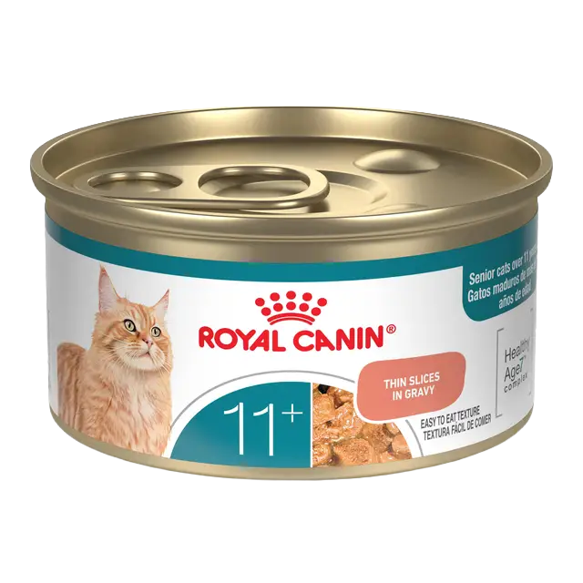 Royal Canin? Feline Care Nutrition? Wet Cat Food, Senior Aging 11+ Thin Slices in Gravy, 3 Ounces