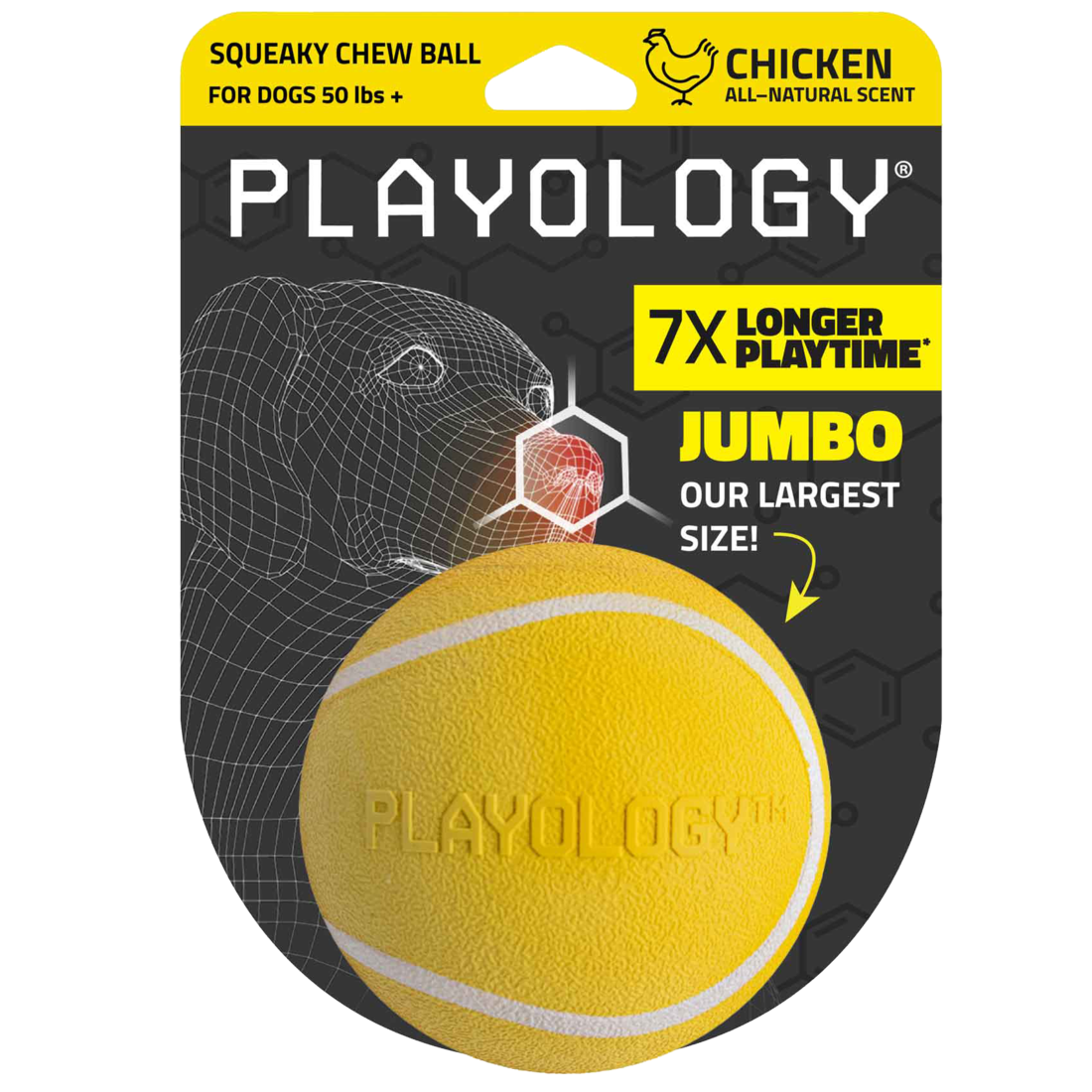 Playology Chicken Scented Squeaky Chew Ball Dog Toy, Extra Large