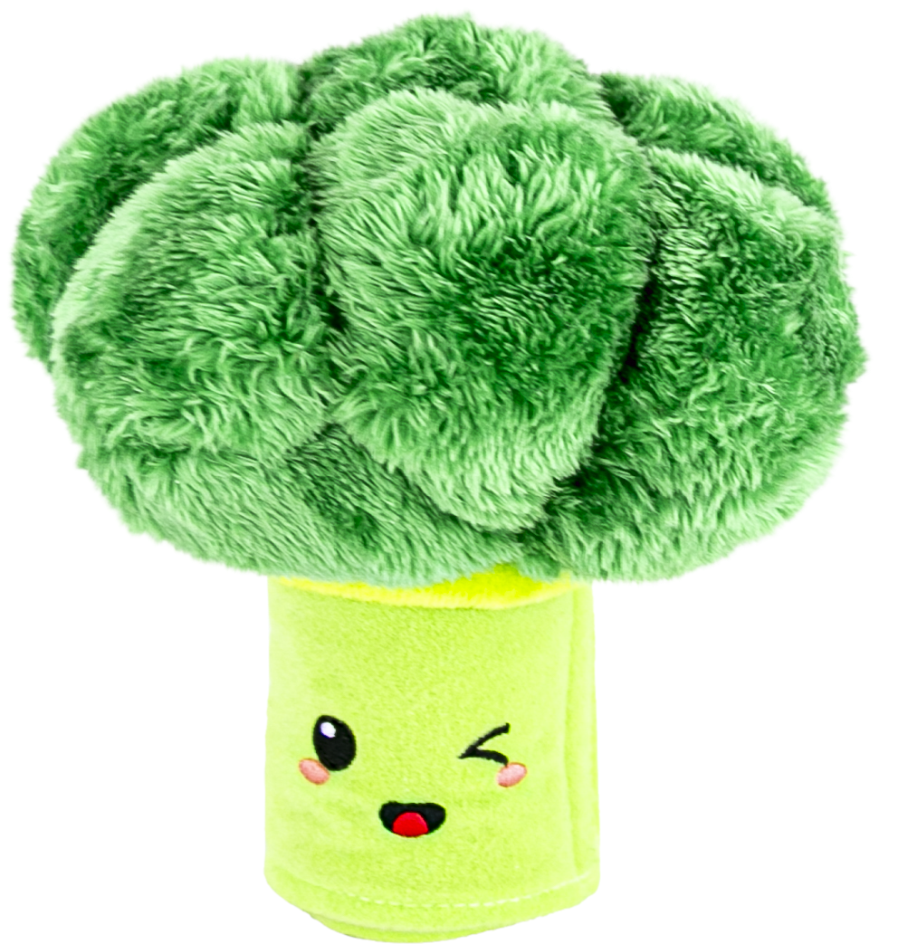 Play On Dog Toy 2-in-1 Interactive Broccoli
