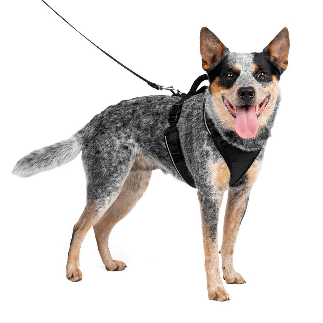 PetSafe® EasySport Harness - Image 2