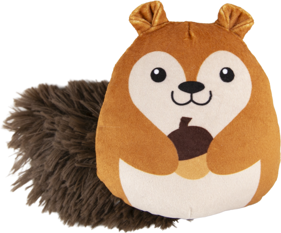 Play On Plush Squirrel With Acorn Dog Toy, 5 Inches