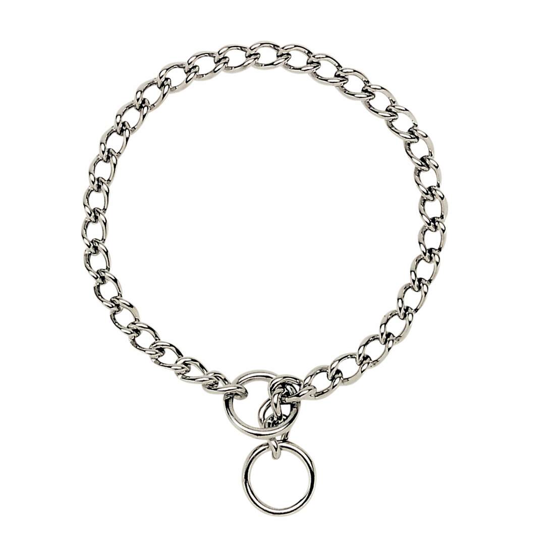 Coastal Titan® Chain Training Dog Collar - Image 9